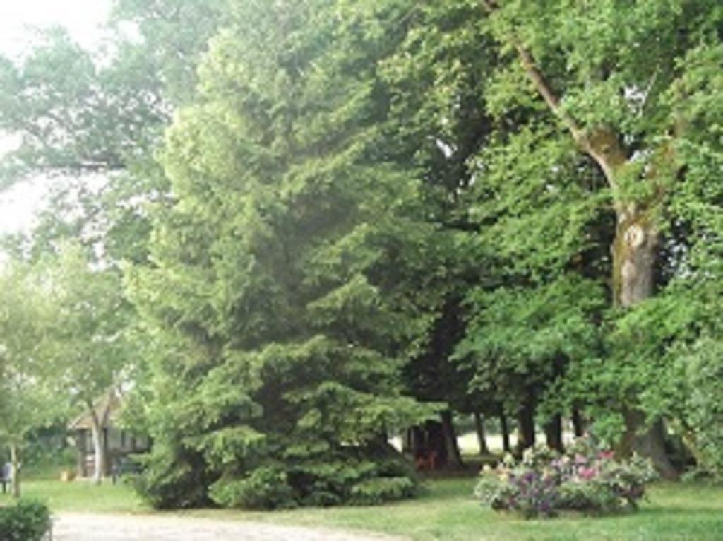 Domaine Des Parisses - Chambres D'Hotes Gennetines Værelse billede